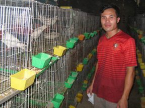 Du học về Việt Nam nhưng lương quá thấp, chàng trai nghỉ việc đi nuôi chim, doanh thu 15 tỷ/năm